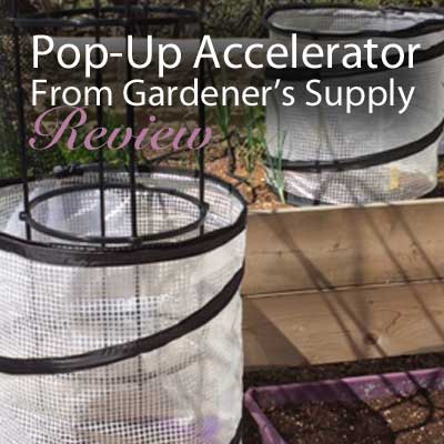 https://gardeningproductsreview.com/wp-content/uploads/Pop-Up-Accelerator-featured.jpg
