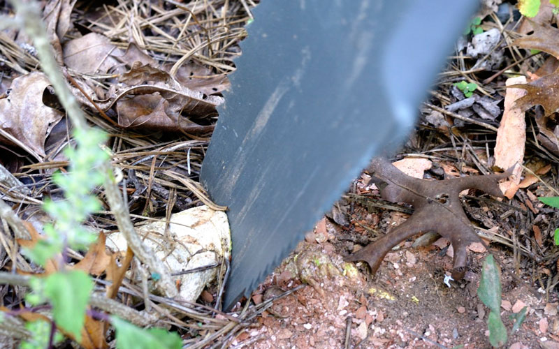 Radius Root Slayer Shovel slices through roots easily