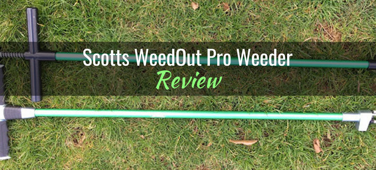 Scotts-WeedOut-featured-image