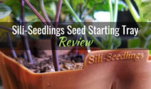 Sili-Seedlings Seed Starting Tray: Product Review