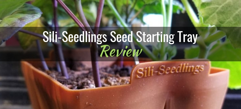 Sili-Seedlings seed starting tray review