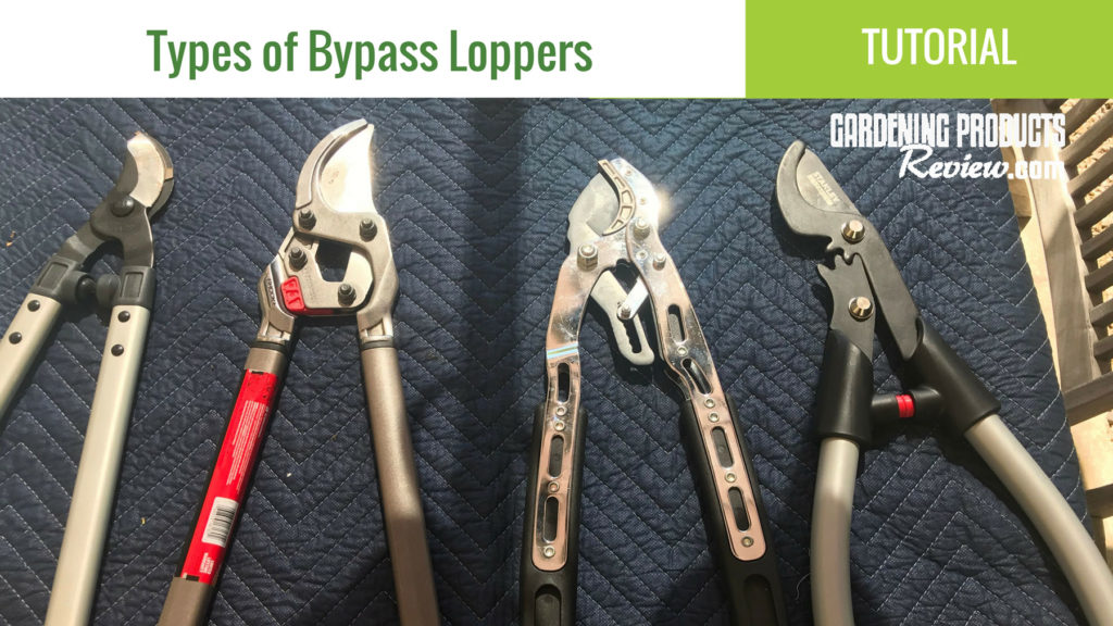 Types-of-Bypass-Loppers