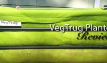 VegTrug Poppy Planter: Product Review