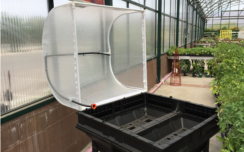 Vegepod hinge clips holding greenhouse cover