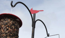 APS Bird Feeder Pole System from Wild Birds Unlimited: Product Review