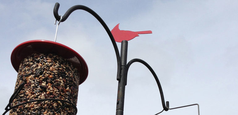 Advanced Pole System from Wild Birds Unlimited