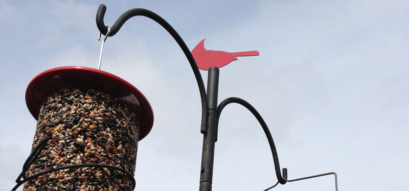 Advanced Pole System from Wild Birds Unlimited