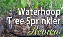 Waterhoop Tree Sprinkler: Product Review