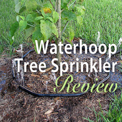 Waterhoop Tree Sprinkler Review