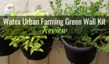 Watex Urban Farming Green Wall Kit: Product Review