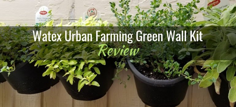 Watex Urban Farming Green Wall Kit Featured Image