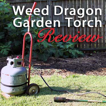 Weed dragon garden torch review