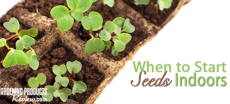 When to start seeds indoors