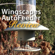 Wingscapes-AutoFeeder-featured