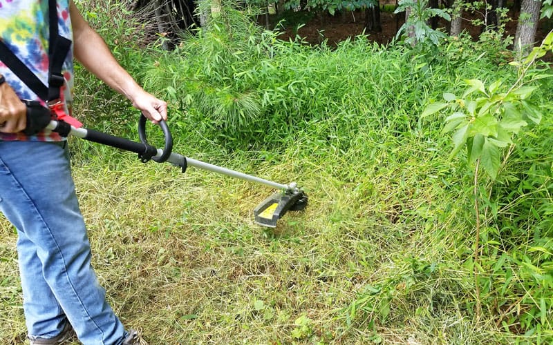 Yard-Force-120v-string-trimmer-cutting-tall-weeds