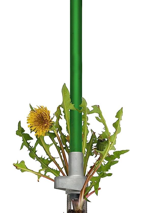 Grampa's Garden Hook - Weed Puller Tool & Gardening Hand Cultivator -  Versatile Tool That Functions as a Cultivator, Hand Tiller, Weeder, &  Edging Tool - Lightweight & Durable To Use 
