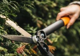 pruning hedges with fiskars pruning shears