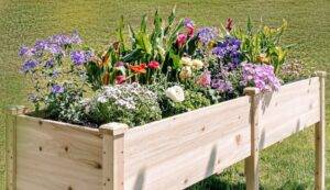 wooden raised beds at the backyard