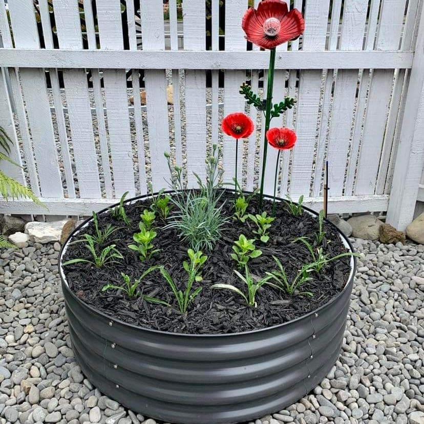 a round galvanized garden bed filled with mulch and plants