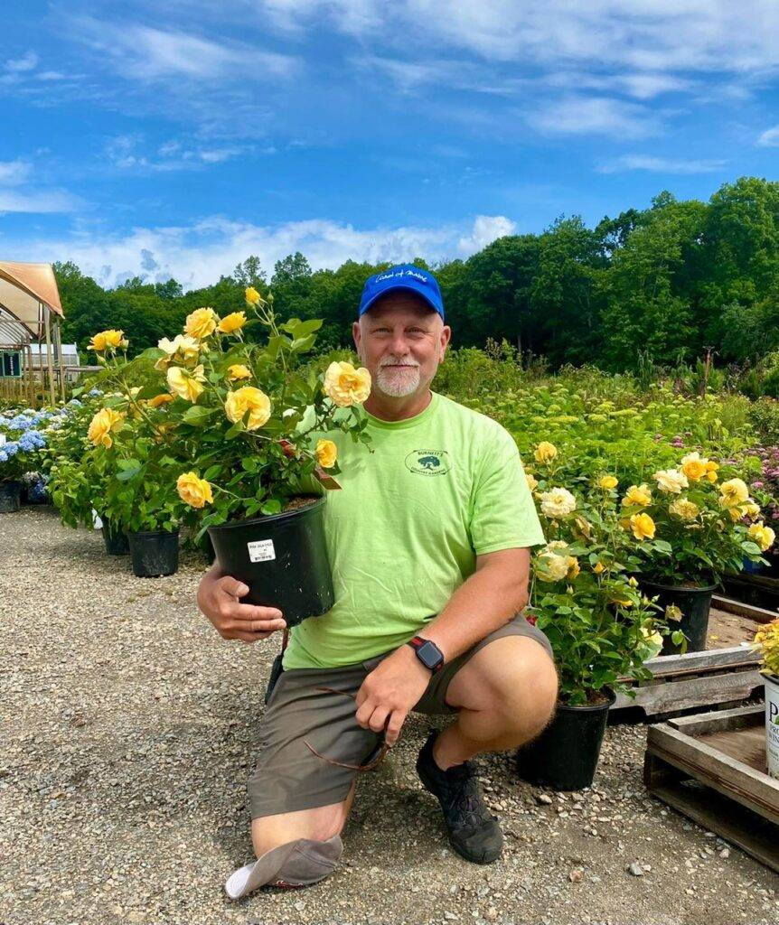 man carrying a pot of yellow rose plant