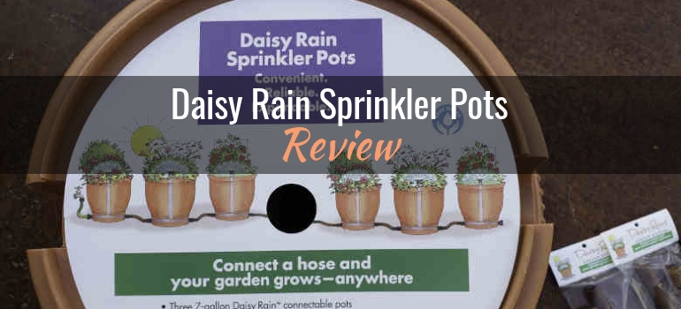 daisy-rain-sprinkler-pots-review-header