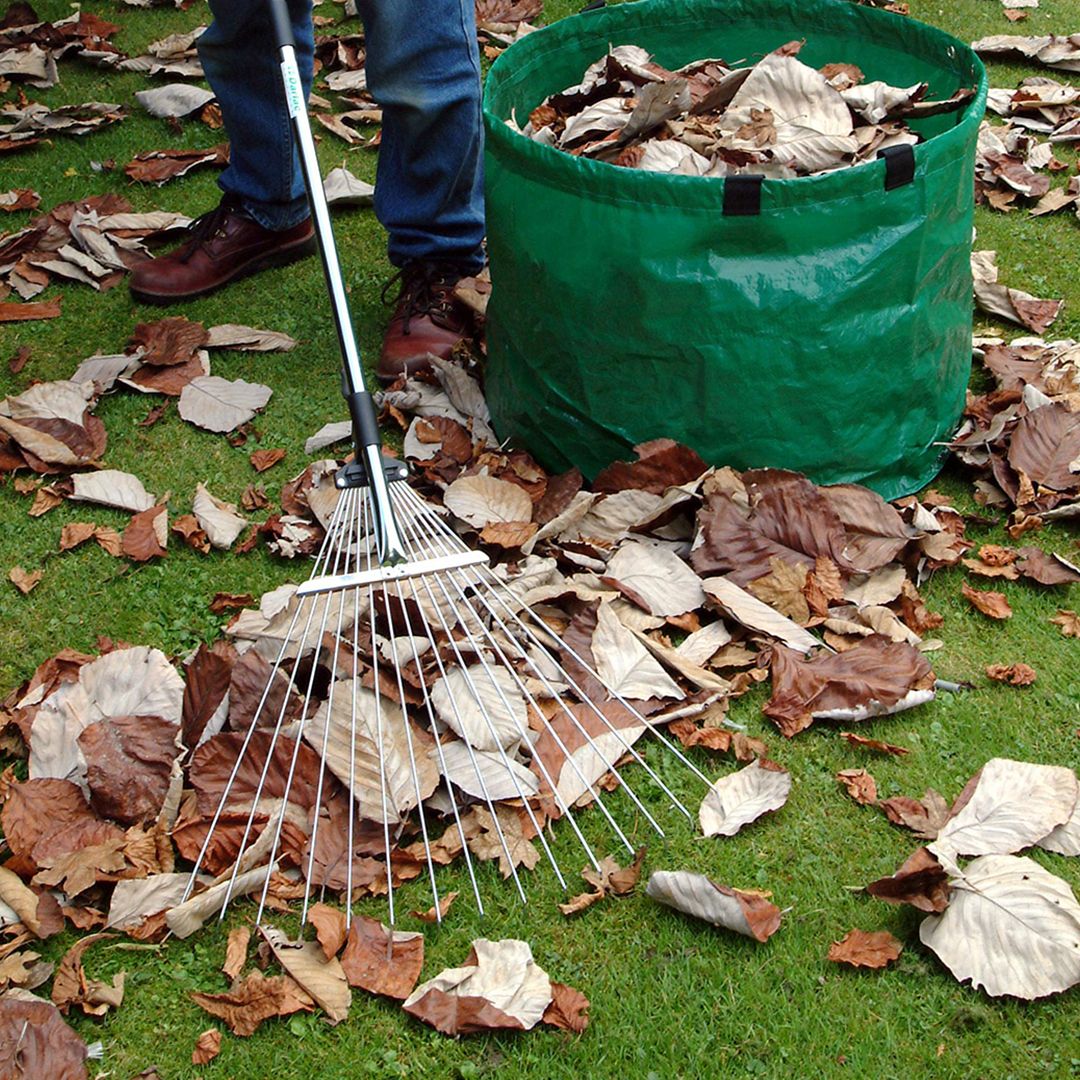 using an expanding telescopic rake to gather leaves