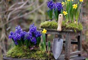 a dewit garden trowel and a mini flower garden