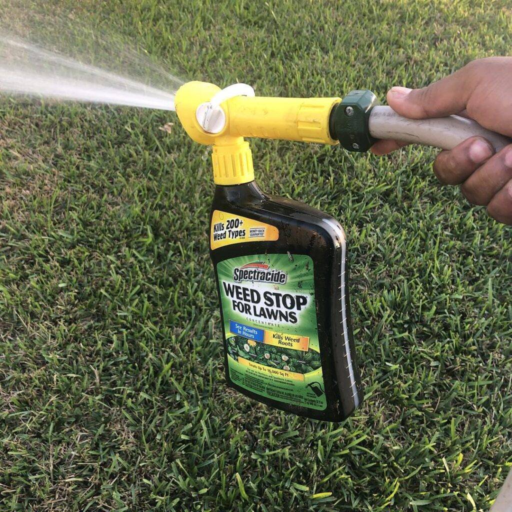 treating the lawn with spectracide weed stop