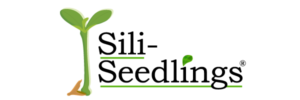 Sili-Seedlings logo