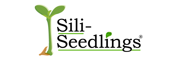 Sili-Seedlings logo