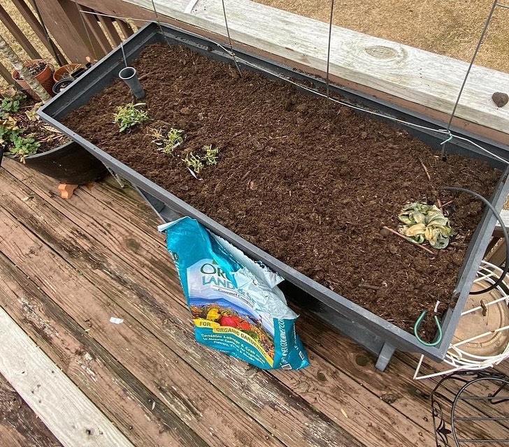 preparing a raised garden bed by topping up with espoma land and sea gourmet compost
