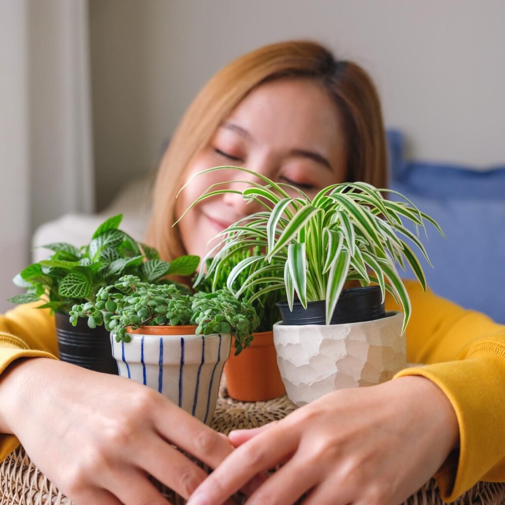 smiling woman with arms around a collection of indoor plants