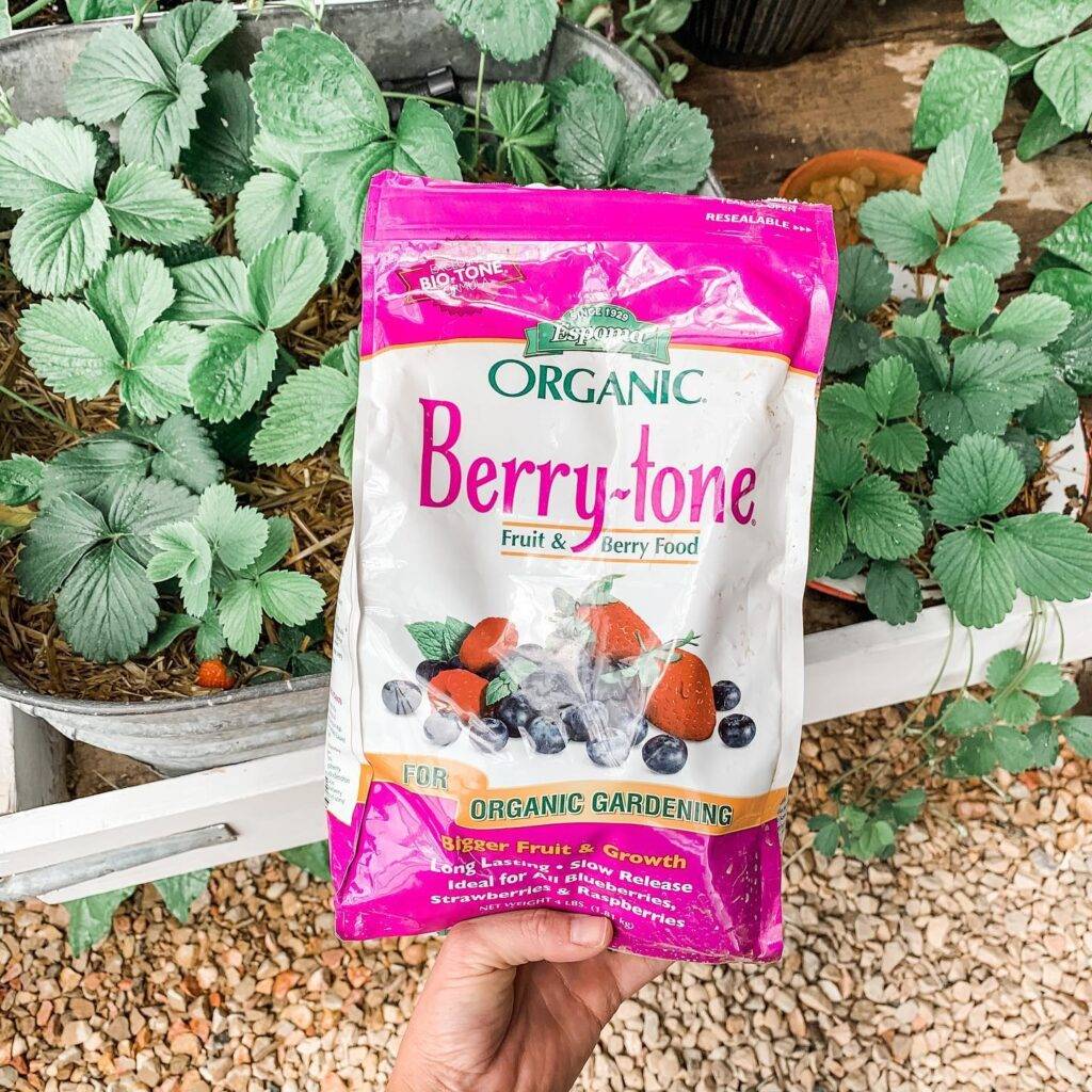 holding a bag of berry-tone organic fertilizer by espoma