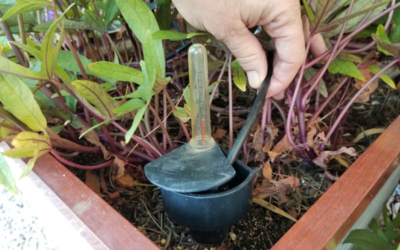galvanized planter watering