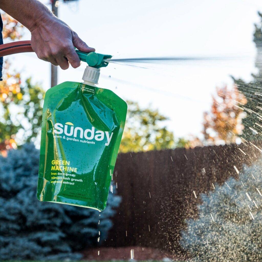 applying the sunday green machine liquid fertilizer to the lawn