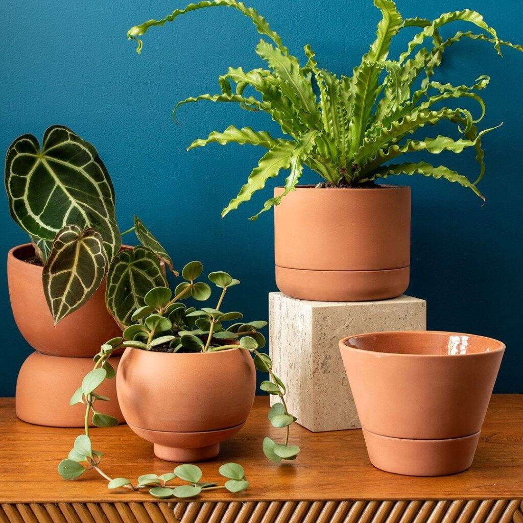 four different kinds of self watering planters