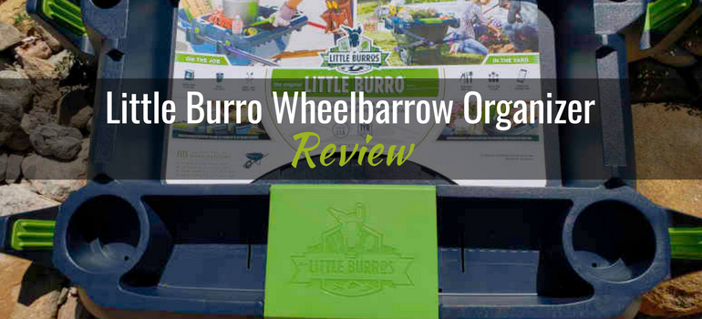 header-little-burro-product-review