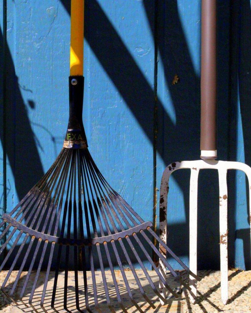 a flexible garden rake and a digging fork