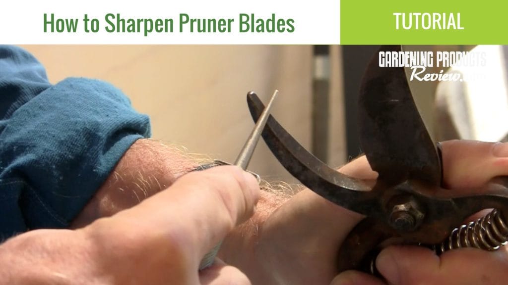 how to sharpen pruner blades