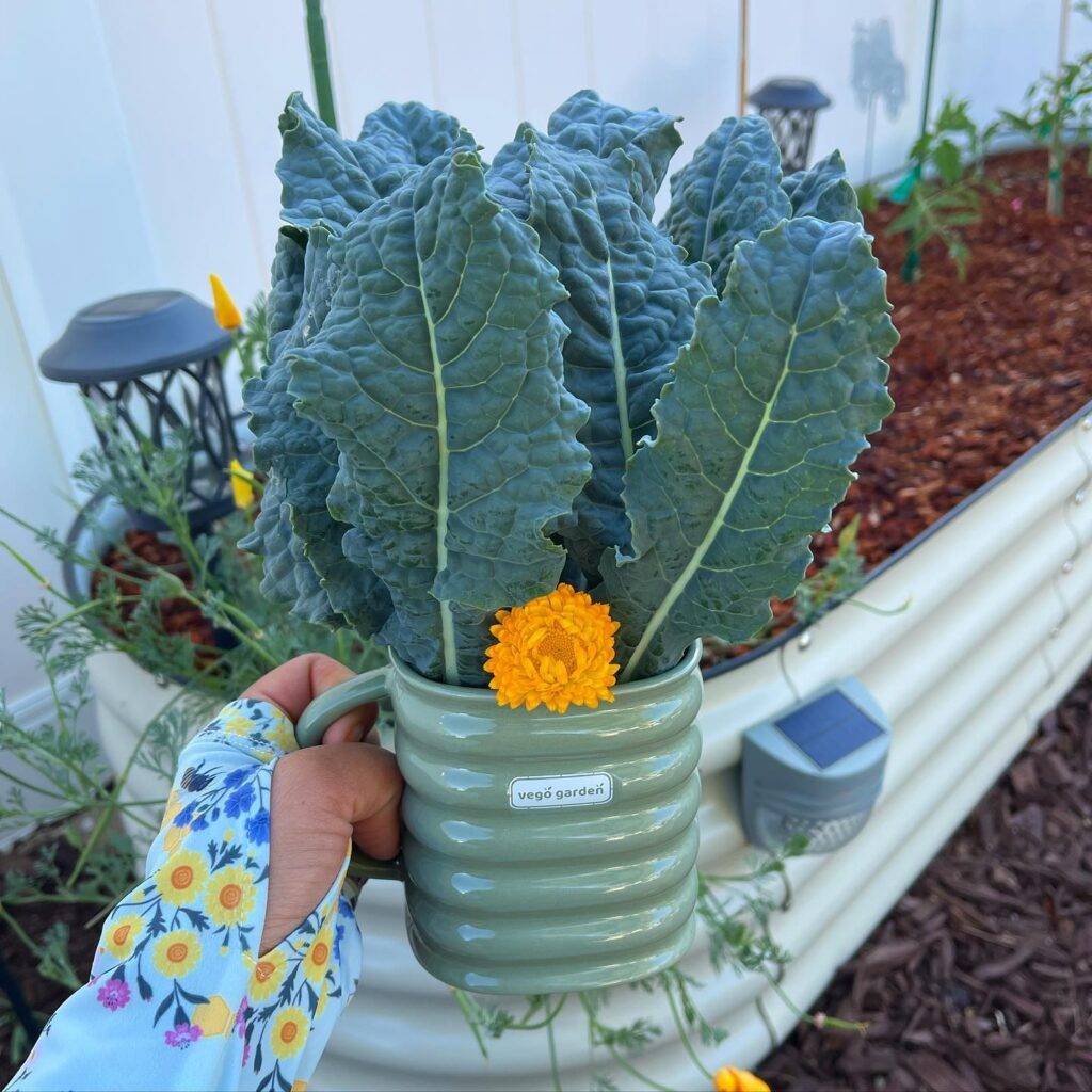 holding a cup full of kale leaves and a flower