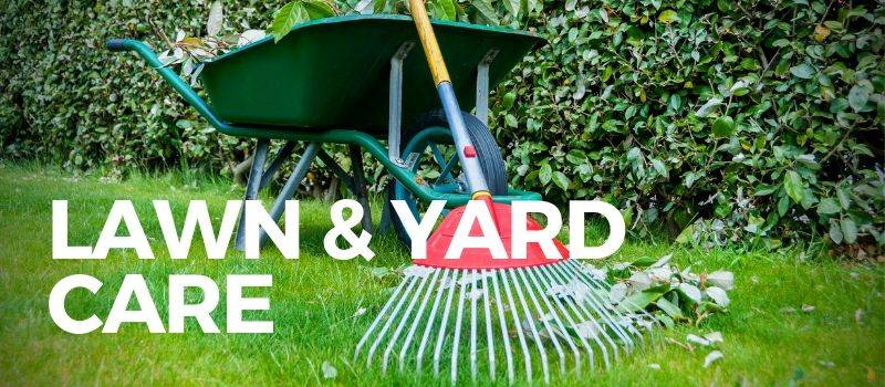 rake and wheelbarrow for lawn and yard care