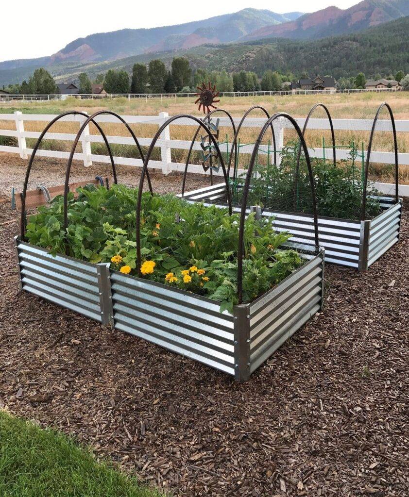 galvanized garden beds with hoops