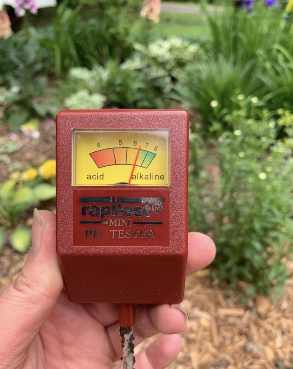 person holding up soil ph tester