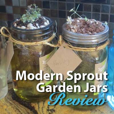 Modern Sprout Garden Jars review