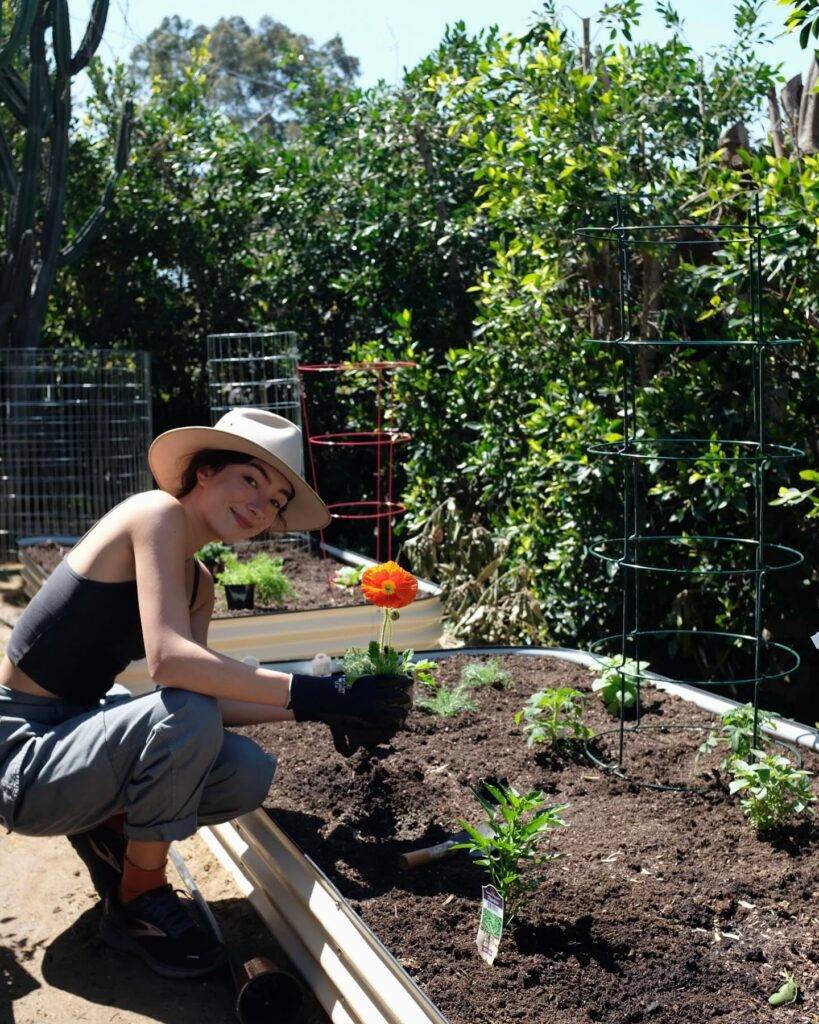 woman transplanting a flower in a raised garden bed
