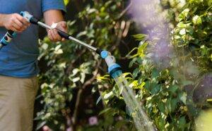 man using spray wand to water plants