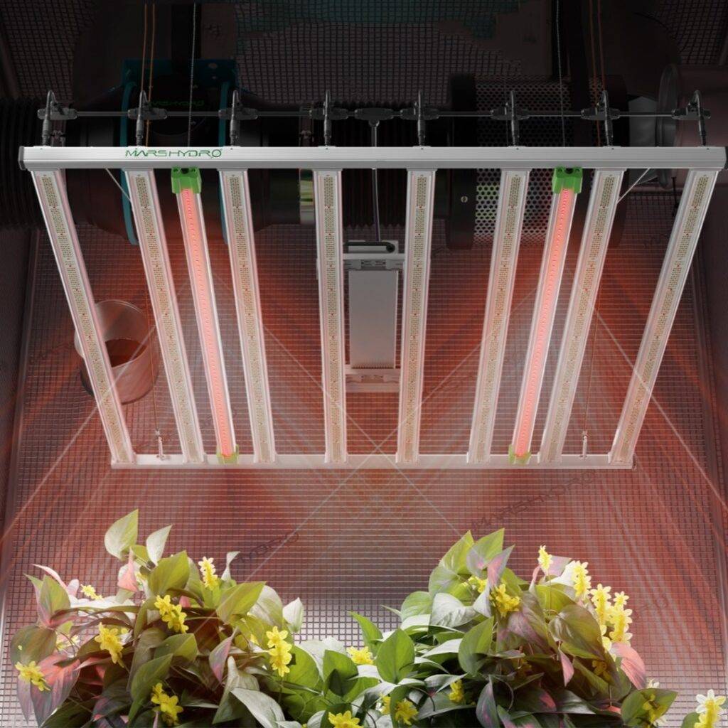 growing plants under a mars hydro led grow lights
