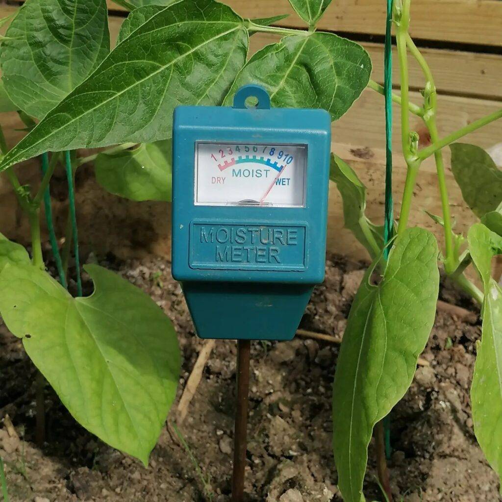 a soil moisture meter inserted into a garden bed