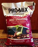 Pro-Mix for seed germination