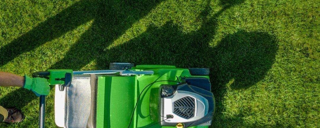 trimming the grass with a lawnmower